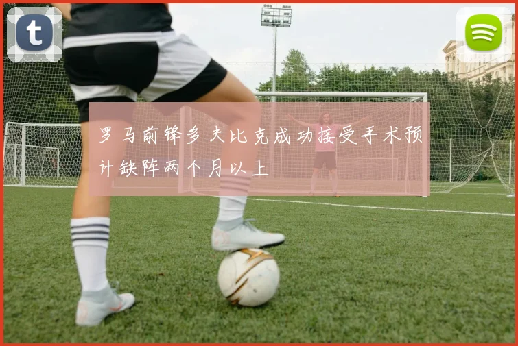 罗马前锋多夫比克成功接受手术预计缺阵两个月以上